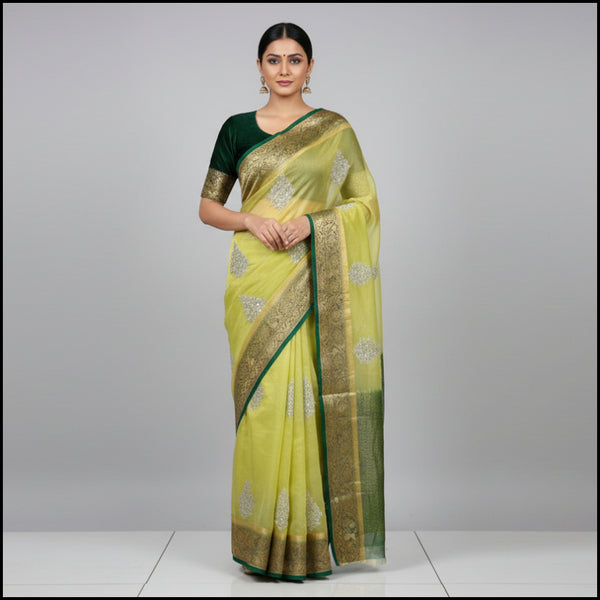 Green saree with silver embroidery on a white background