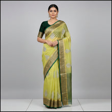 Green saree with silver embroidery on a white background