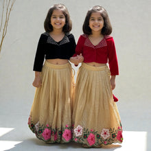 Traditional Indian Wear Designer Blouse and Velvet Collar Flared  Lehenga Pair RK-4