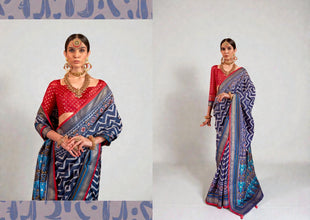 Pure Silk Patola Saree Traditional Indian Wedding Wear Intricate Ikkat Pattern with Luxurious Patola Silk AB-6