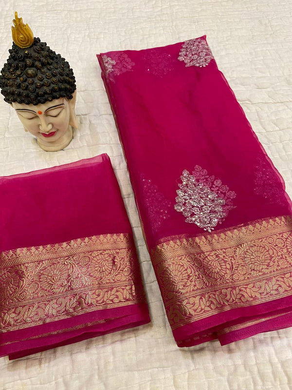 Kanchipuram Organza Jacquard Saree with Multi-Sequence Work & Raw Silk Blouse